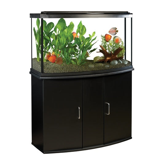 What Sizes and Shapes Do Bow-Front Fish Tanks Come In? - Fish